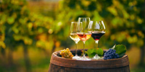 Aspen CO Wine Tours and Private Car Transportation